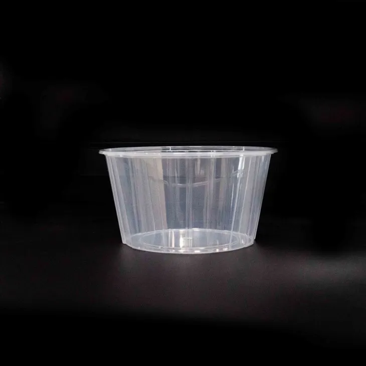 Crystal Clear Plastic Bowls - Showcase Your Dishes (5)