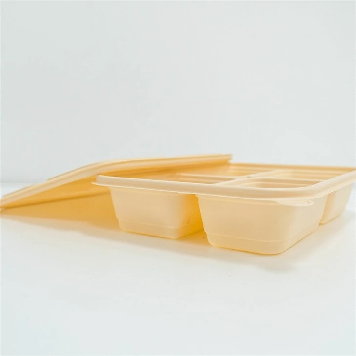 Disposable Divided Food Containers - Ideal for Health-Conscious Consumers (19)