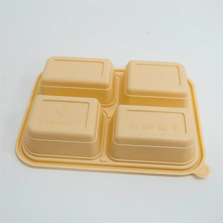 Divided Food Containers for Every Meal - From Starters to Desserts (9)