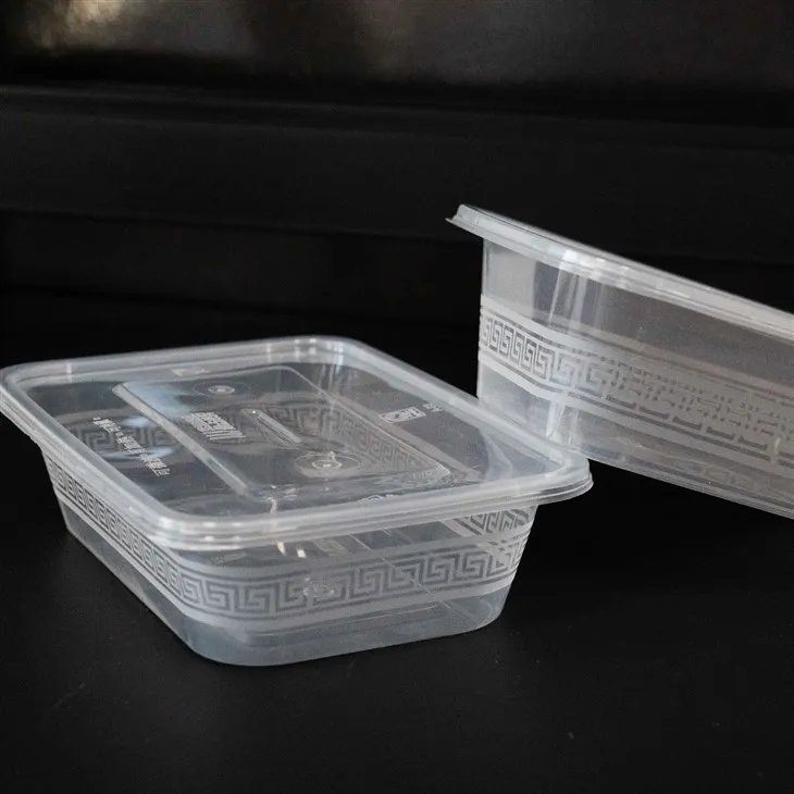 Leak-Proof Plastic Food Containers - Ideal for On-the-Go Meals (9)