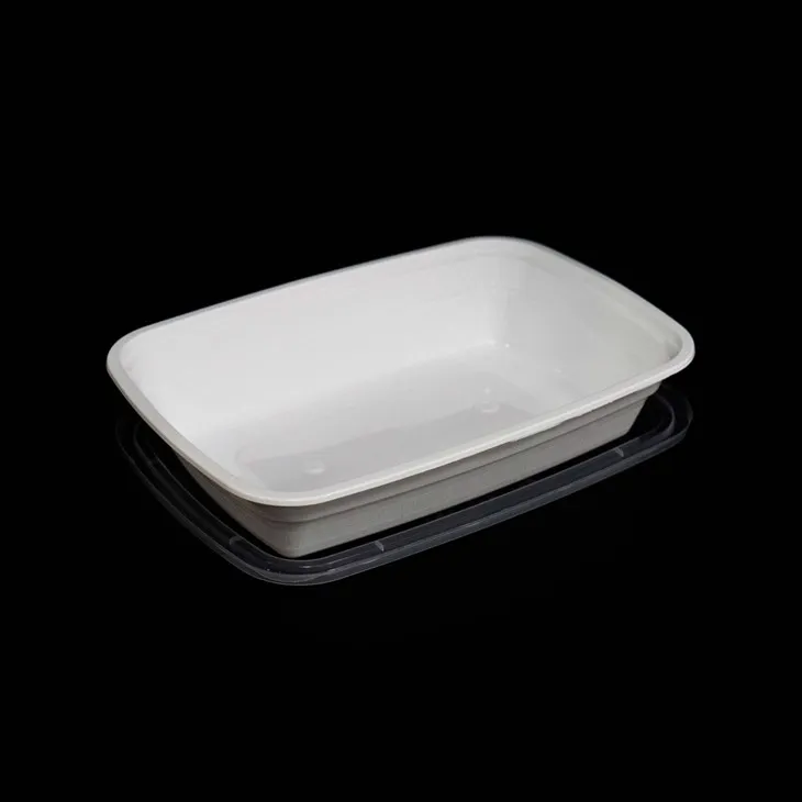Plastic Lunch Boxes with Lids - Ideal for Disposable Cutlery Sets (4)