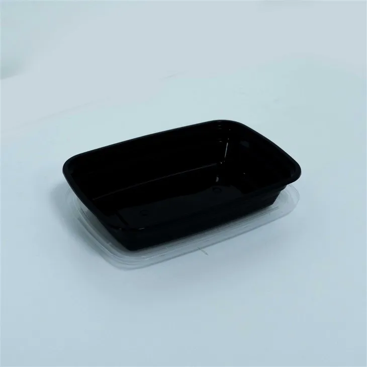 Portable Disposable Lunch Boxes with Lids - Perfect for Outdoor Dining (2)
